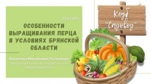 Лекция   Валентины Михайловны Рыченко "Особенности выращивания перца в условиях Брянской области"