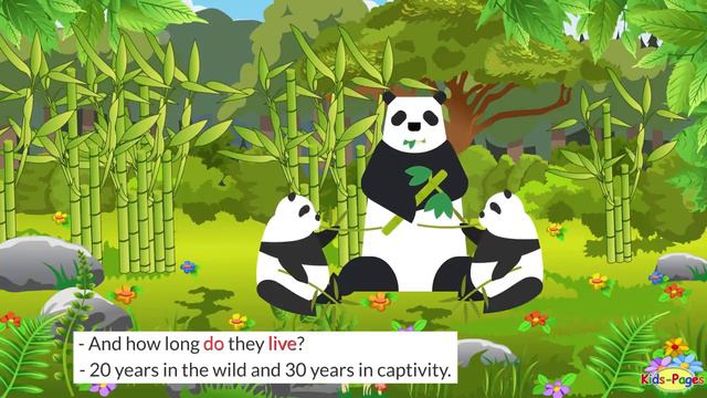 Describing Animals  with Simple Present Tense
