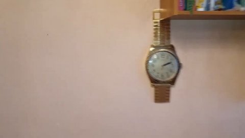 Отжим масла из тыквенных нечищеных семечек на маслопрессе "Живодар" давлением 40т