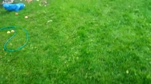 ДОБЫЧА МЕДИ..... Поиск цветных металлов в помойках.