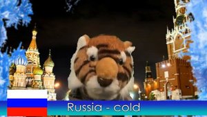 International Weather Report