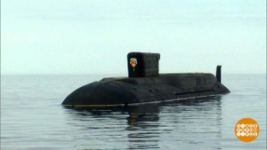 "Цари океанов": смотрим! Праздничный канал. Фрагмент выпуска от 26.07.2020