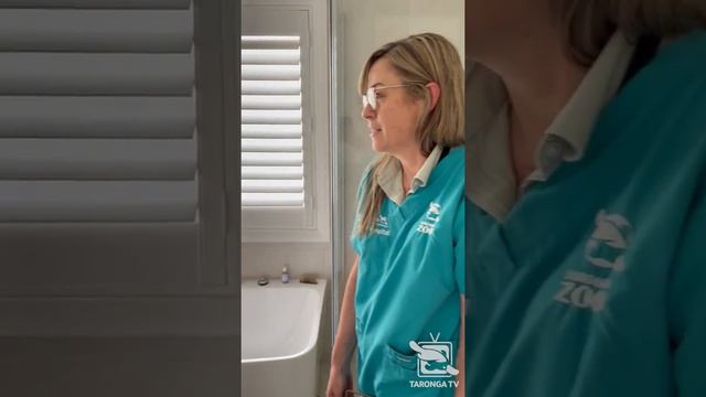 Echidna rescue смотреть онлайн