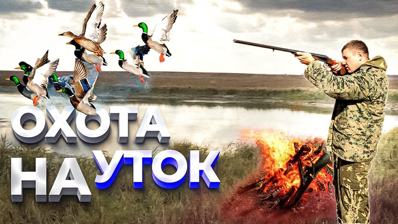 охота на утку.нашли озеро с утками! смотреть онлайн