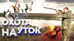 охота на утку.нашли озеро с утками!