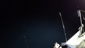 Ловим кальмара! Рыбалка в море на головоногих! Тестируем снасти!