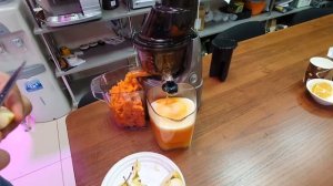 работа сокопресса bork S610