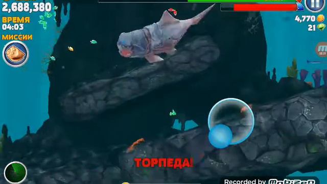 Hungry Shark Evolution #1 купил большого папочку (думклеостей)