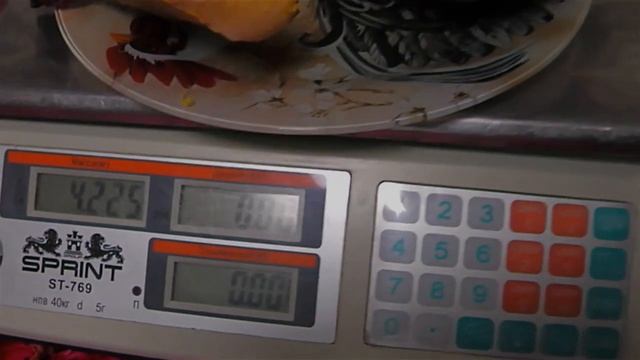 РОСС 308 - 61 ДЕНЬ смотреть онлайн