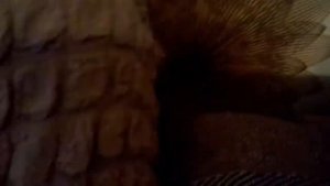 Здравствуйте меня зовут Максим из компании Арифлей