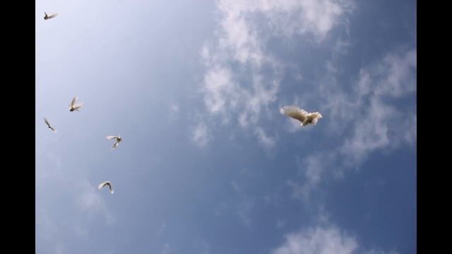 Храм на Орбитальной Виктор Алексеев смотреть онлайн