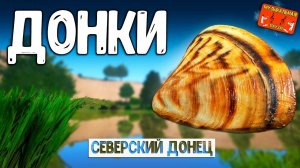 РР4/ рыбалка для души, ловим как универсал, общаемся 27.03.24