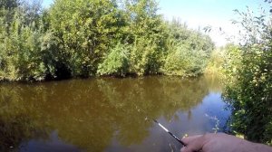 Олта Навахо Мормышка 664MF-S. Тревел спиннинг. Трудовой мормышинг