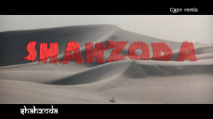 Shahzoda feat Faydee - Habibi Albi _Tiger remix