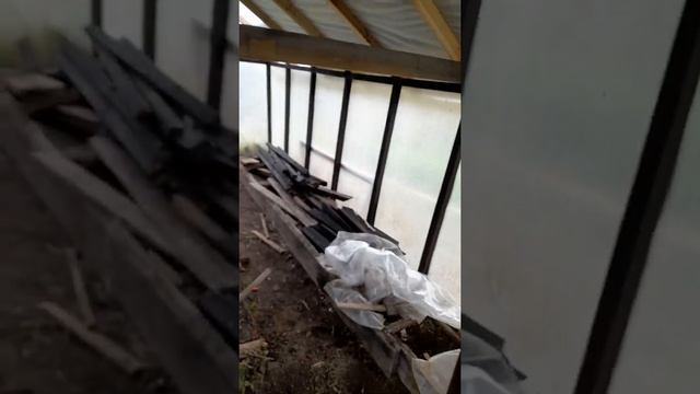 Из теплицы - ГРИБНИЦА (начало) смотреть онлайн