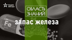 Сколько металла в человеке? Лекция биолога Сергея Подковальникова.