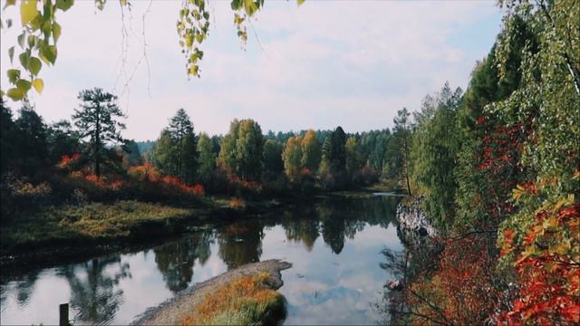 Уютный осенний влог / Травиата / Оленьи ручьи смотреть онлайн