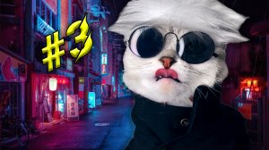 Purrfect #3 (funny cats compilation) приколы с котами 2022!