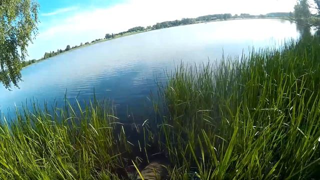 Рыбалка с Виталием, МАКУХА,МЕТОД,ПАТЕРНОСТЕР,РЫБАЛКА ВИДЕО.