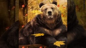 Как животные готовятся к зиме. Мини-рассказы для детей.