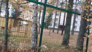 Посёлок Зеркальный. Выборгский район Ленинградской области.