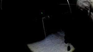 Пеленгас в Бердянске в июле