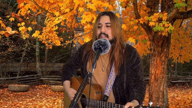 Fearless [Taylor Swift Cover] смотреть онлайн