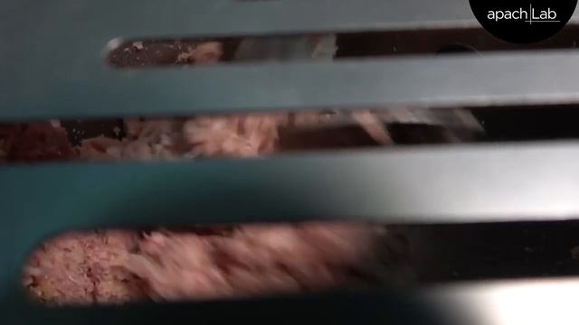 Фаршемешалки Apach от ПРАЙД ГРУПП смотреть онлайн