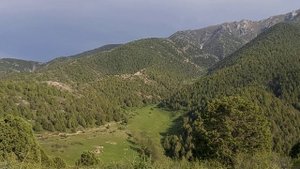 Кадамжай району Тамаша айылы