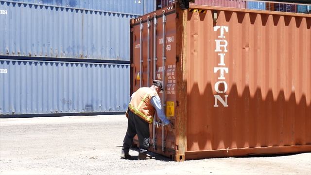 Shipping Container Inspection | Quick Container Actual Inspection | Shipping Container Depot смотреть онлайн