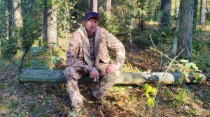 Поход - отдых в лесу