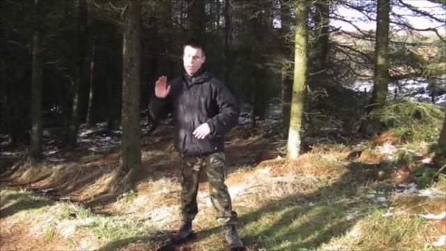 Troika The Systema Trinity Strike смотреть онлайн