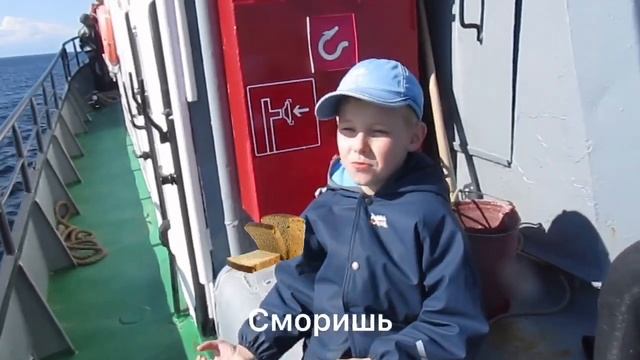 КАК ПРАВИЛЬНО ЛОВИТЬ РЫБУ/СОВЕТЫ ОТ ПРОФЕССИОНАЛА смотреть онлайн