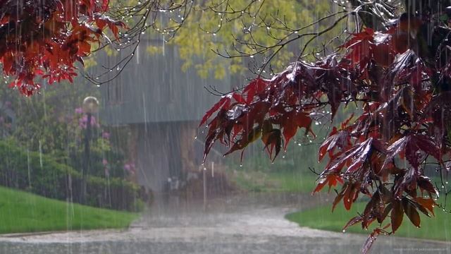 Дождь, гром, гроза Расслабляющие звуки природы Усыпляющие звуки летнего дождя смотреть онлайн