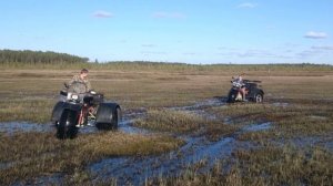 На БАРХАНАХ по болоту.