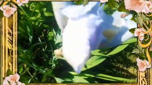 Доброе УТРО всем, кто проснулся!