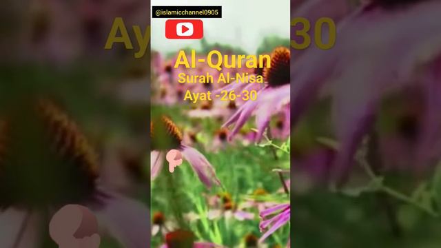 Surah Al-Nisa Ayat 26-30 #alquran #islamicchannel @islamicchannel0905