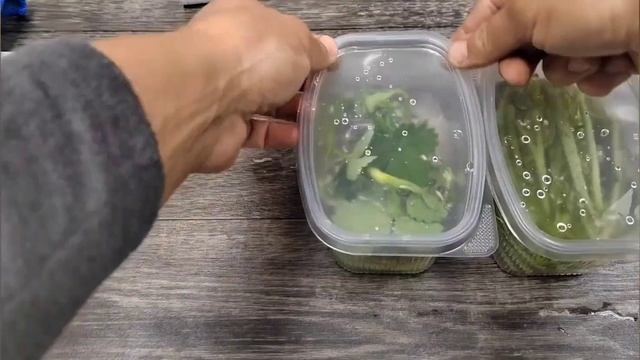 Клонирование растений, введение в культуру.