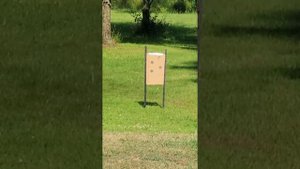 Diana 54 Air king pro .22cal