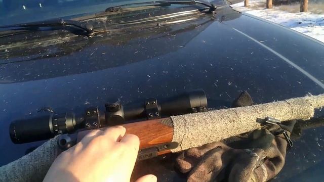 Мой обзор на мелкашку ЧеЗет для промысловой охоты. Оптика Bushnell (китай)