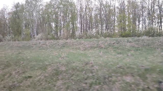 Родная родная родная земля