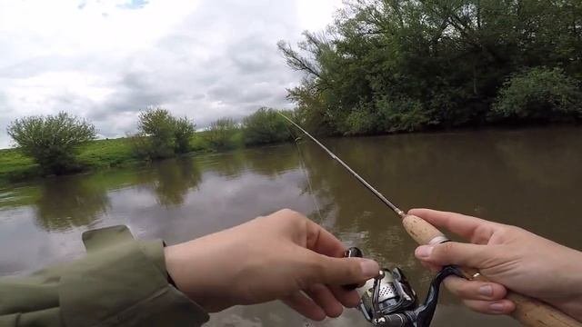 Ловлю голавля и жереха на воблеры в очень мутной воде! Рыбалка июнь 2020