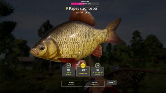 🔴СТРИМ🔴/ Русская рыбалка 4 /🔴STREAM🔴[18+] смотреть онлайн