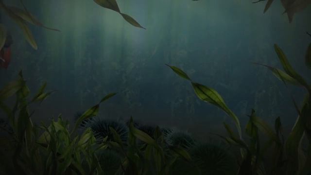 рыбки.mp4 смотреть онлайн