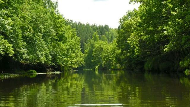 Яснослышание. Медитация над внутренними звуками.