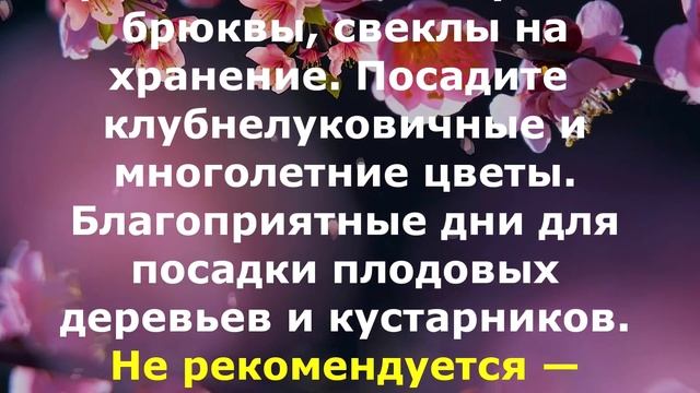 ЛУННЫЙ КАЛЕНДАРЬ САДОВОДА и ОГОРОДНИКА на МАЙ 2020 года.