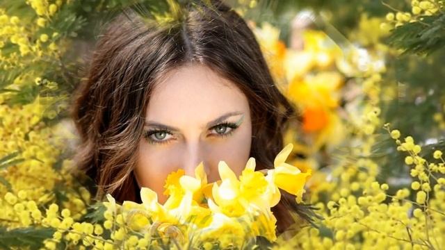 Ветка мимозы,подарок весны! смотреть онлайн