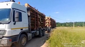 НЕЗАКОНННАЯ вырубка леса. Деревня Филатово, Рузский ГО. 6 июля 2021 г.