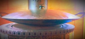 САДЖ. " Воспитываем"- молодой садж. Готовим его к дальнейшему использованию.