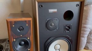 Акустика Yamaha NS-451 Не обзор (prewiev) IN AUDIO
